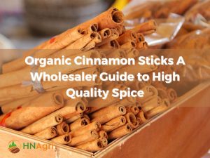 organic-cinnamon-sticks-a-wholesaler-guide-to-high-quality-spice