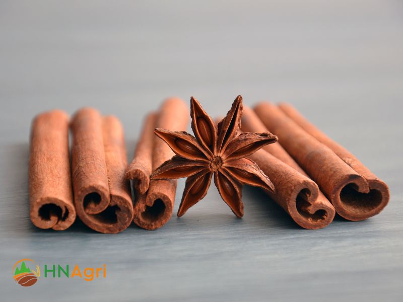 organic-cinnamon-sticks-a-wholesaler-guide-to-high-quality-spice-2