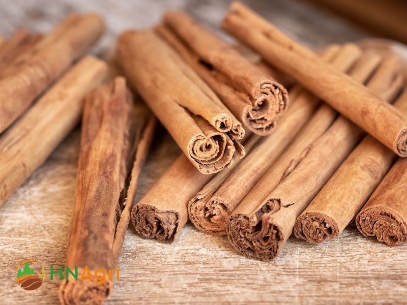 partner-with-top-sri-lanka-cinnamon-suppliers-for-exceptional-quality-2